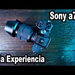 Sony a7 IV Don't Buy It Without Knowing These Problems