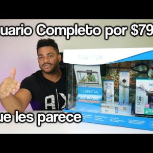 Complete Aquarium For $ 79.00 My Guppies are on Birthday